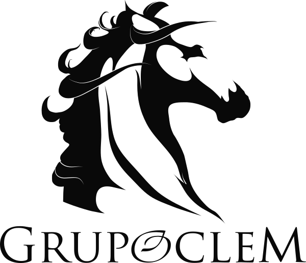 Logo Grupo Oclem